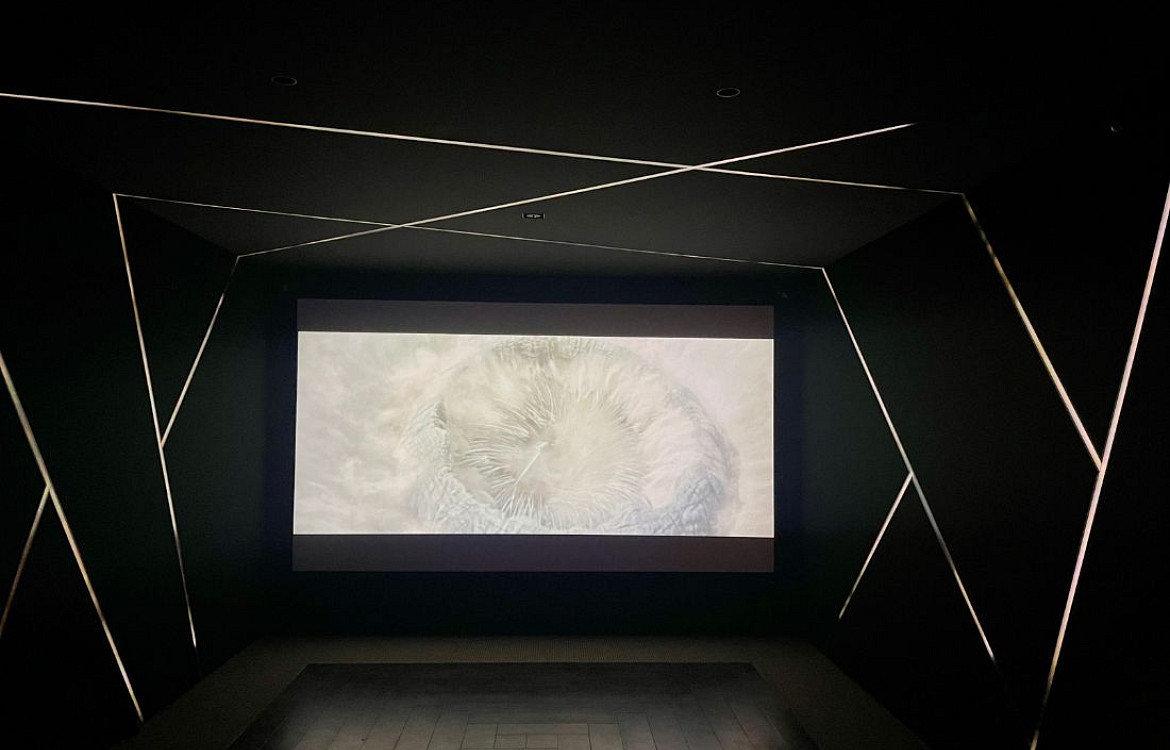 CINEKADISCO cinema white lightwall
