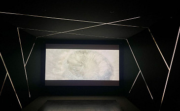 CINEKADISCO cinema white lightwall