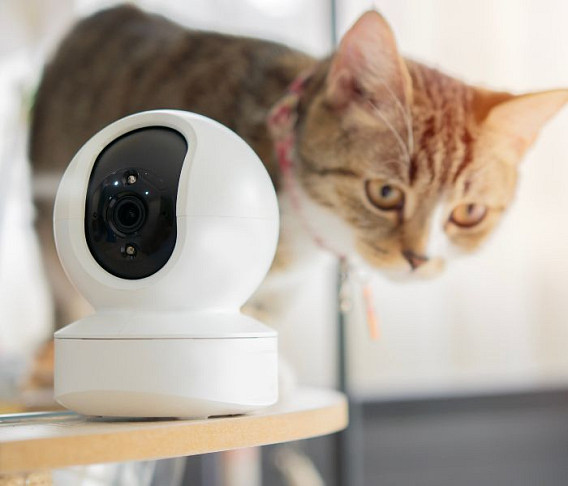 what are some of the best pet-friendly smart home devices