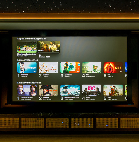 home cinema screen choice