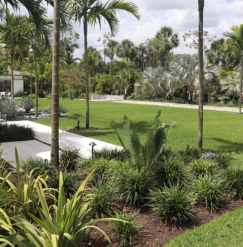 Back lawn