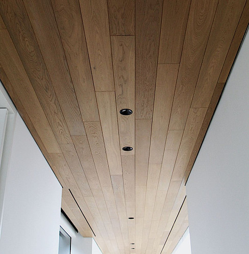 Unique ceiling