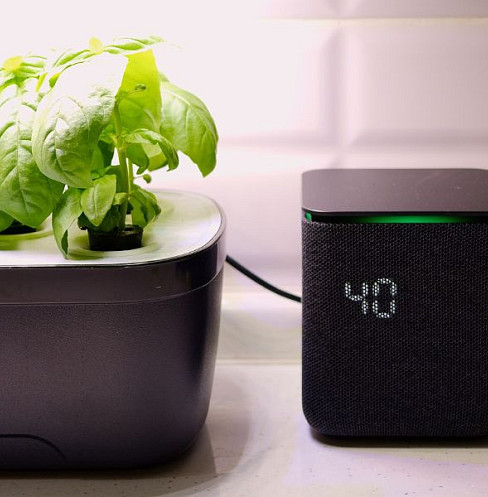 paredes hidropónicas