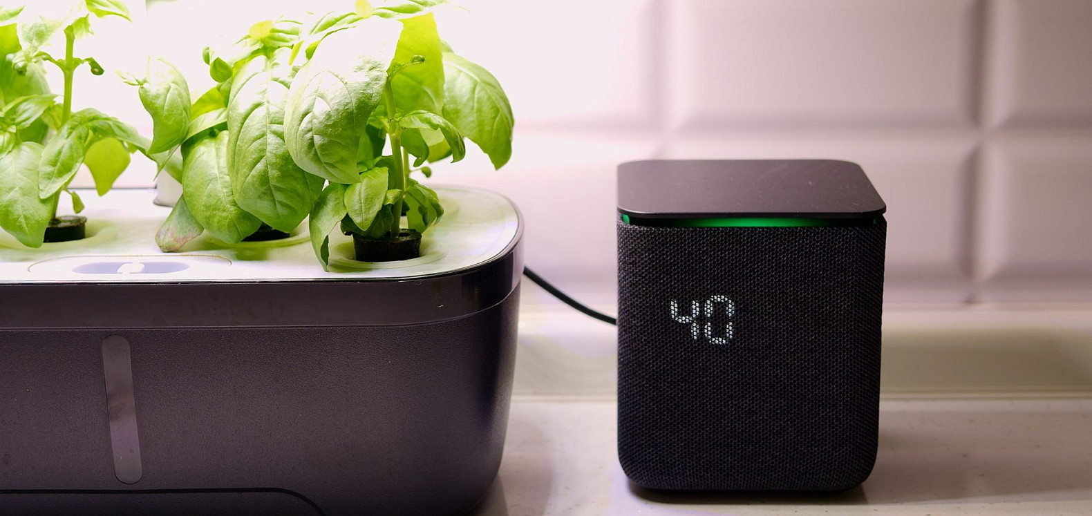 huerto inteligente de hierbas aromáticas