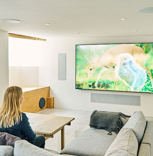 Dali surround sound speakers